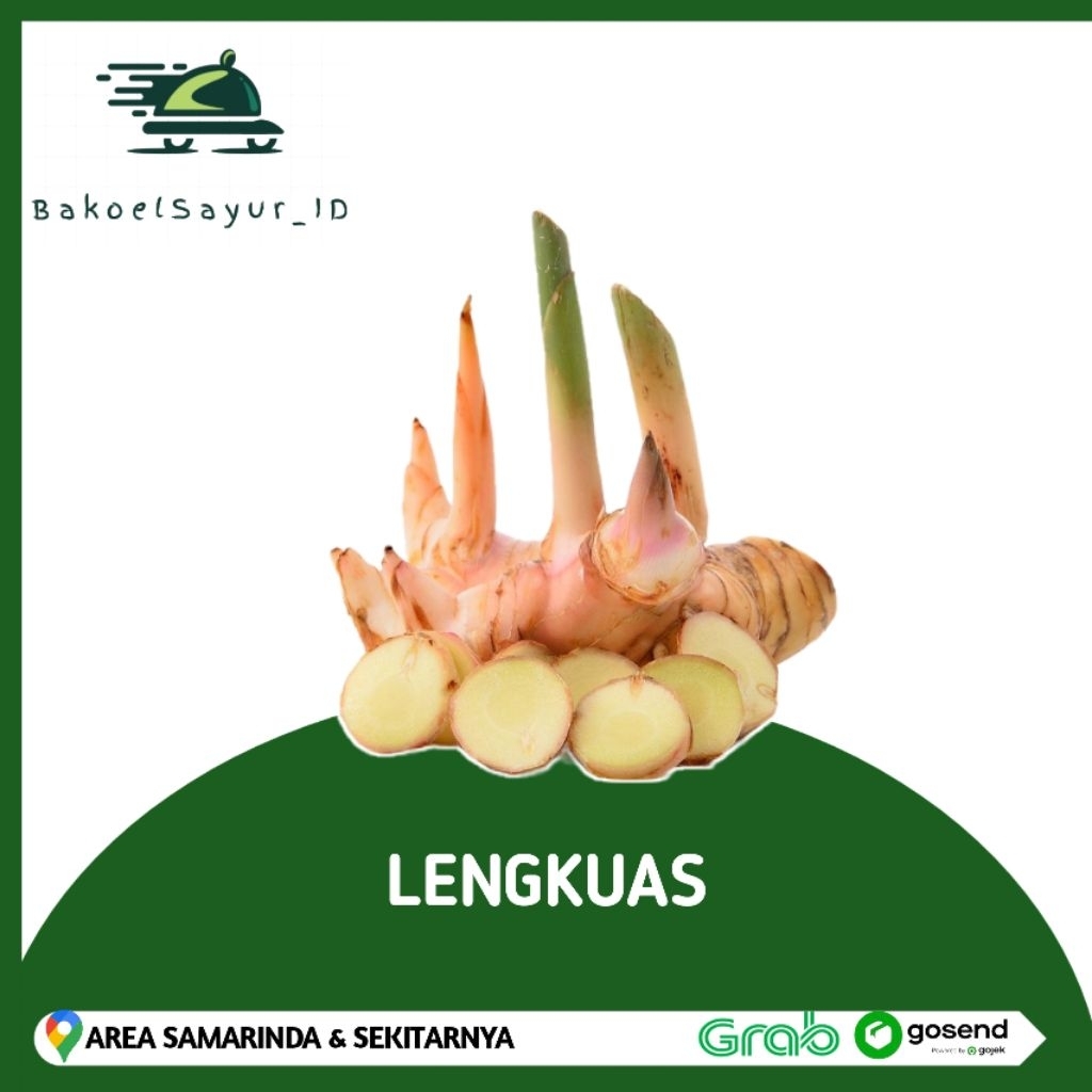 

Lengkuas Laos Segar Pilihan