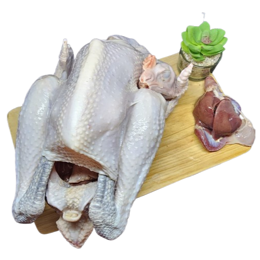 

Ayam Kampung Segar Fresh Palembang 1 Ekor Utuh - Bibik Sayur Palembang - Sayur Online Palembang