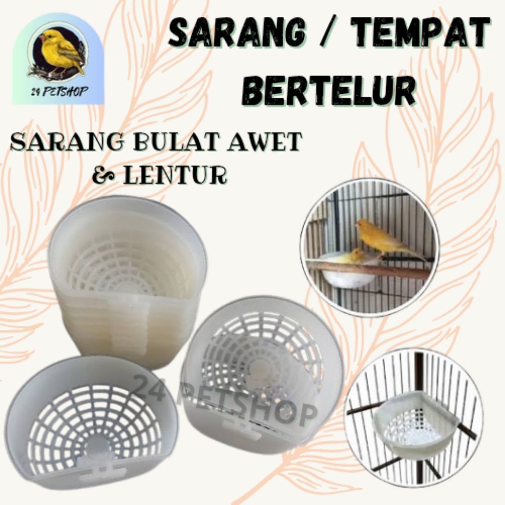 SARANG BULAT KENARI / SARANG KENARI / TARANGAN KENARI / TARANGAN BULAT KENARI