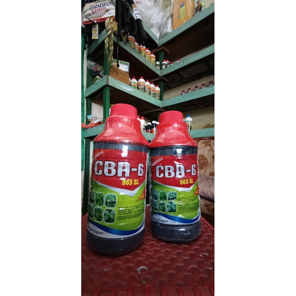 CBA-6 865SL