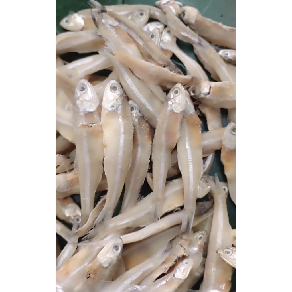 

Promo ikan asin teri jumbo