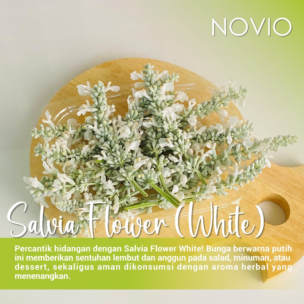 

Bunga salvia white fresh / edible flower salvia / salvia white / bunga salvia putih / fresh