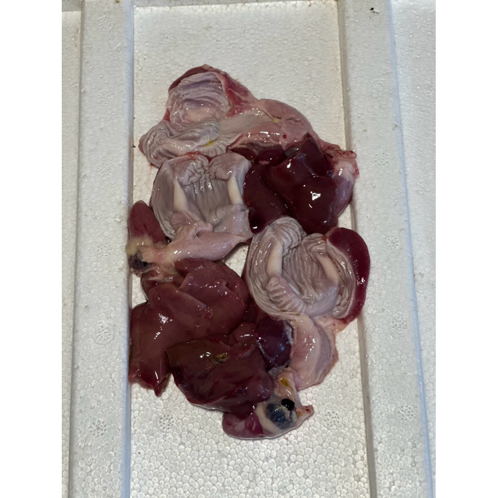

hati ampela ayam baru/fresh