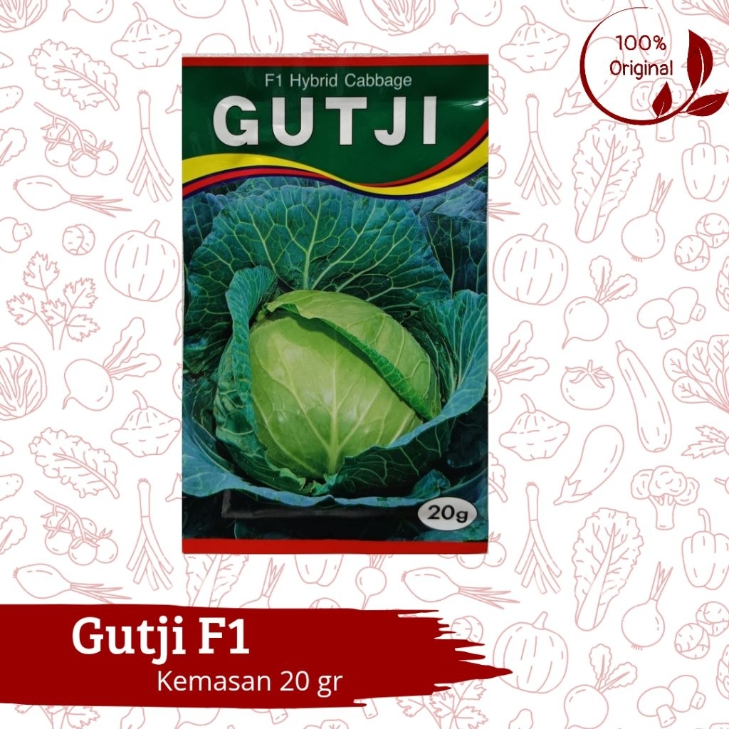 Benih Bibit Kubis Gutji F1 - 20 Gr Tohoku Seed