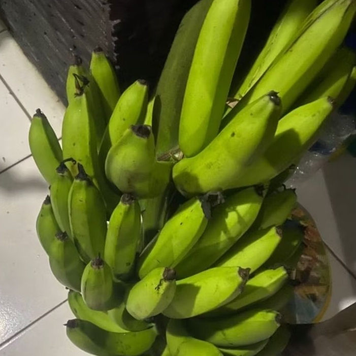 

Buah Pisang Mentah BRK KG Pisang Bangkaulu