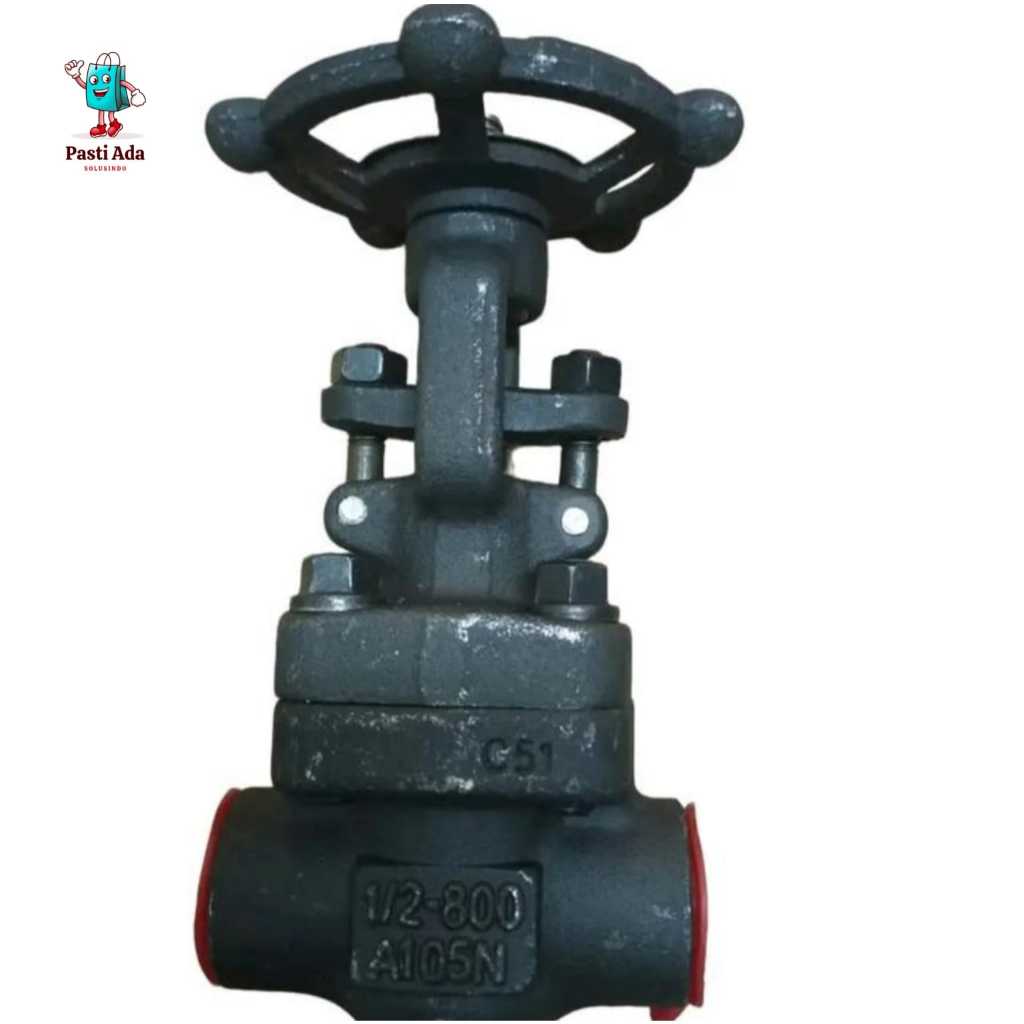 Gate Valve CARBON STEEL SW Las 1" Inch Class 800