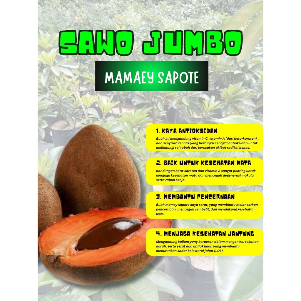 

TERMANIS !! Buah Mamey Sapote Terenak