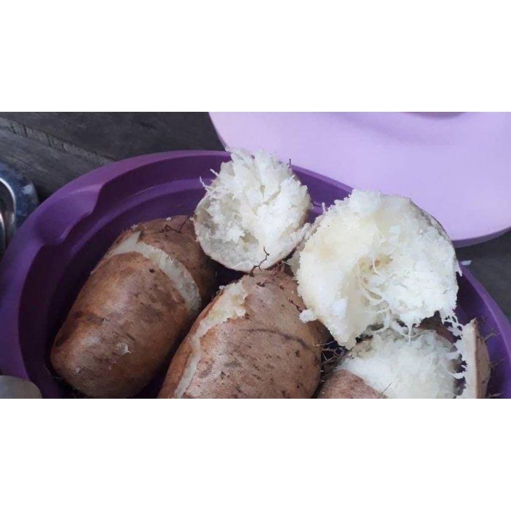 

Ubi gembili ketan enak pulen 1kg