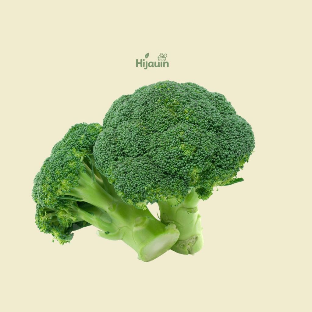 

Brokoli Segar Hijau/Sayur Brokoli 250gr KIRIM INSTANT