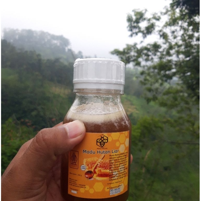 

PROMO Madu Resha Hutan liar apis dorsata 350gr untuk kesehatan,pengobatan dan stamina