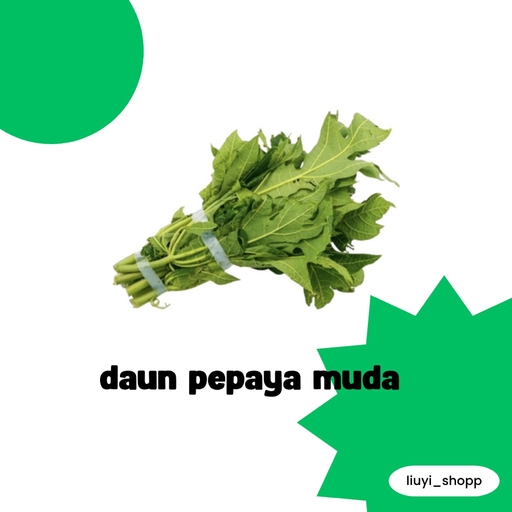 

daun pepaya muda segar fress per ikat