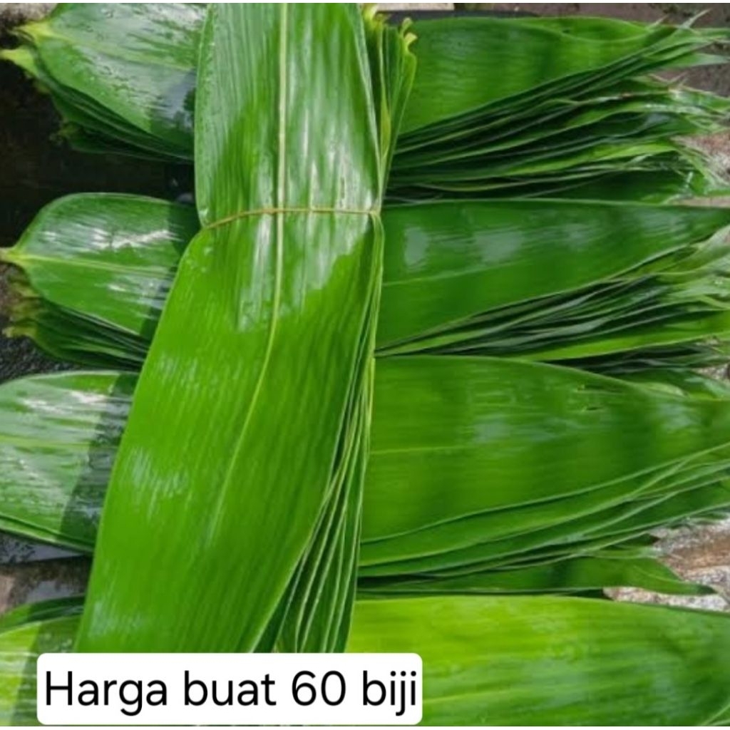 

Daunbambusegardanberkualitas