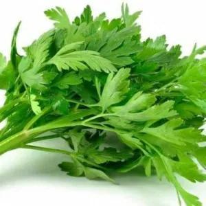

daun sledri 30g
