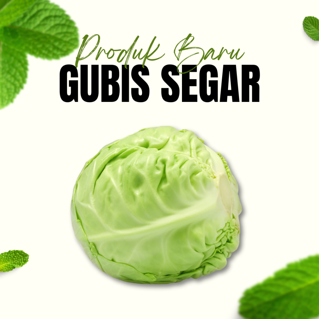 

Sayuran Gubis Segar / Gubis Hijau / Sayur Sop / Sayur Asem / Lalapan Sayur / Sayur Daun
