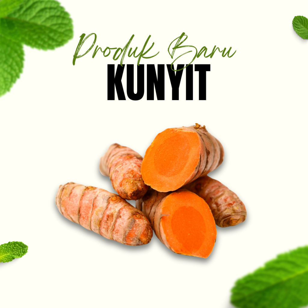 

Jual Kunyit 100 gram / Bumbu Kunyit / Kunir / Rempah Sayur Kunyit / Bumbu Kuning