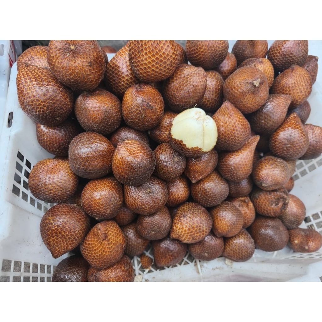 

Salak pondoh 1kg