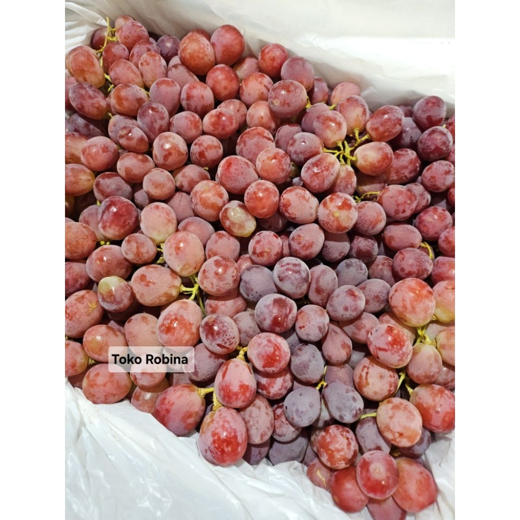 

Anggur Merah Australia Premium Import 250 gr