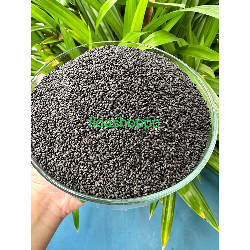 

SELASIH / CHIA SEED / PREMIUM - SUPER - ORIGINAL BERSIH 100GR, 50GR