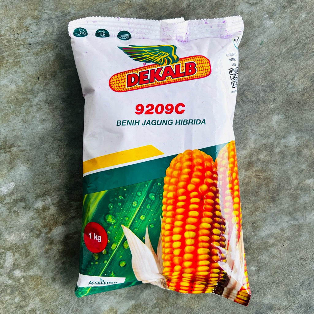 Benih Jagung Hibrida Dekalb DK 9209C 1 Kg Original