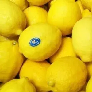 

LEMON IMPORT 500 GRAM