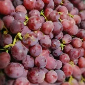 

ANGGUR MERAH FRESH 500gram