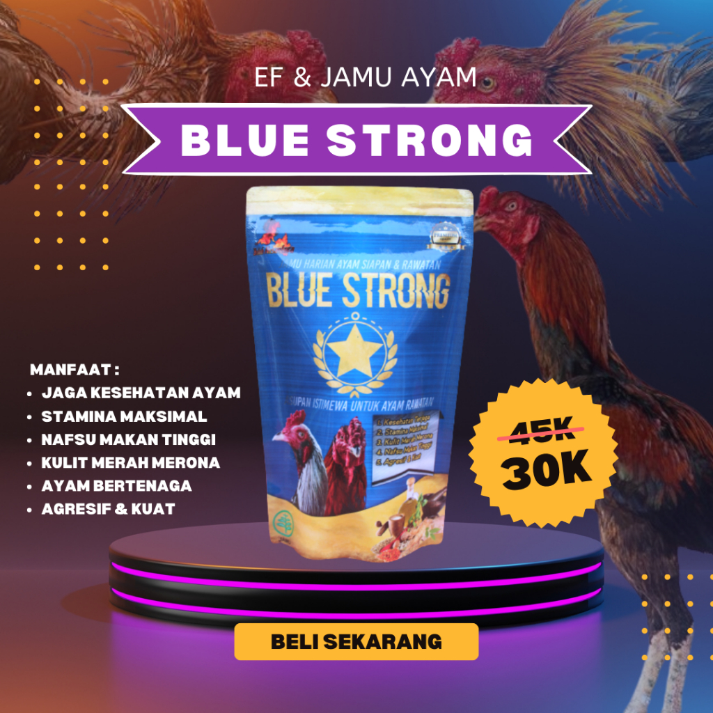 BLUE STRONG ekstra fooding Jamu ayam aduan sehat nafas panjang merah merona agresif & super Strong