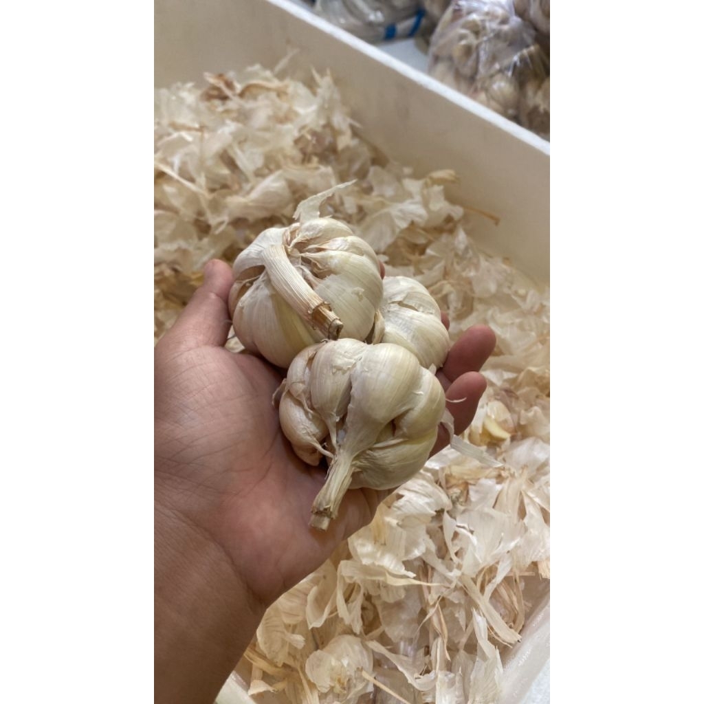 

BAWANG PUTIH BAWANG BERSIH BAWANG 1KG BAWANG DAPUR BUMBU DAPUR