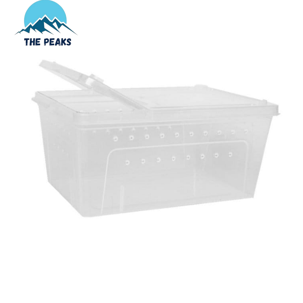 (The Peaks) Reptil Box Kandang Besar Feeding Hamster/Reptil/Gecko/kura-kura