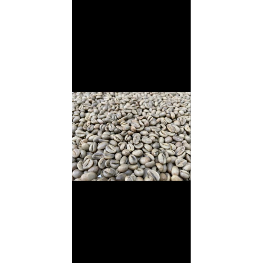 

biji.kopi.mentah.khas.dampitmalang