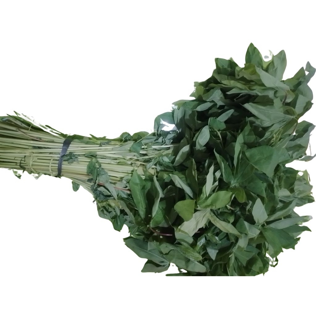 

Daun Singkong (Pucuk ubi bayam)