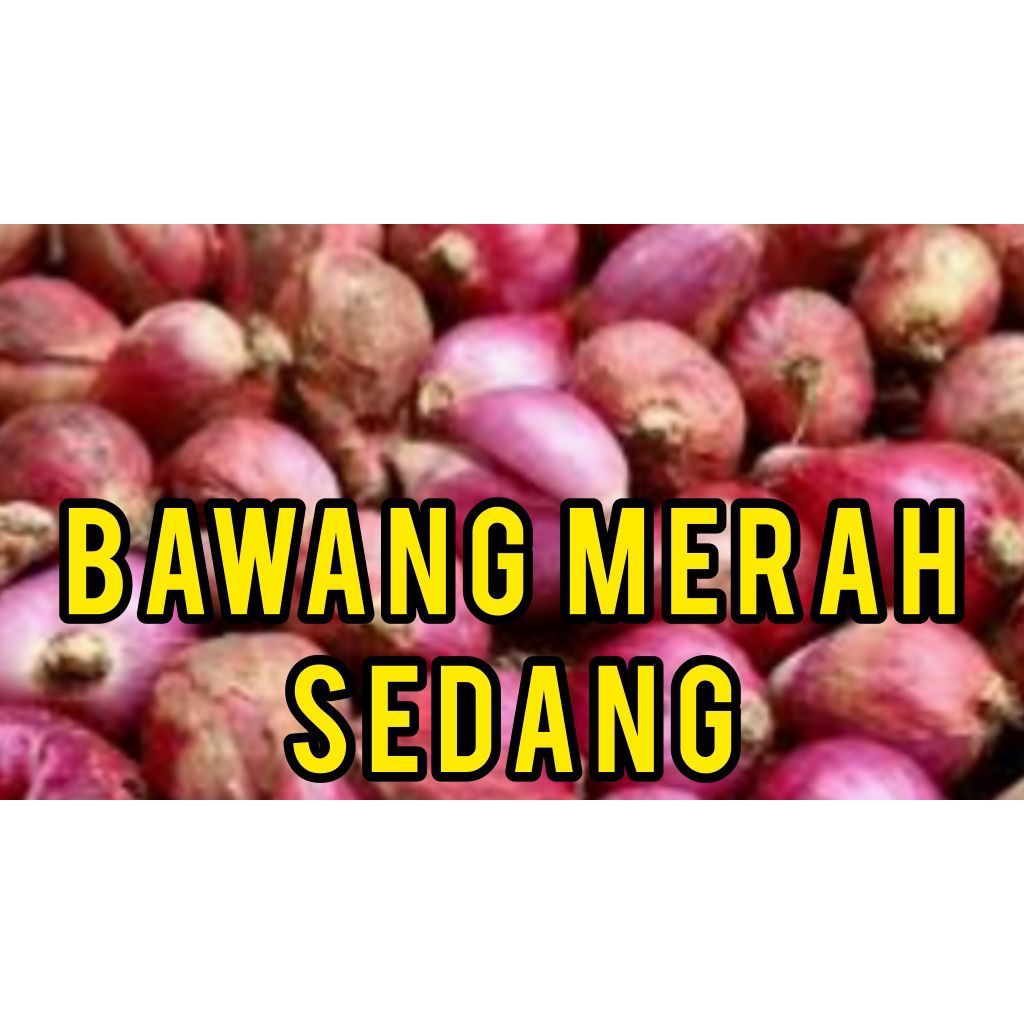 

BAWANG MERAH SEDANG RP 8..000 / 250 gram