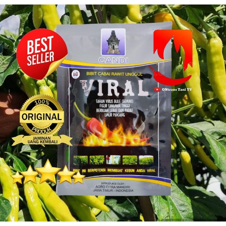 KODE F97P Cod Benih Cabe Rawit VIRAL Berkualitas Tahan Virus 1ORI