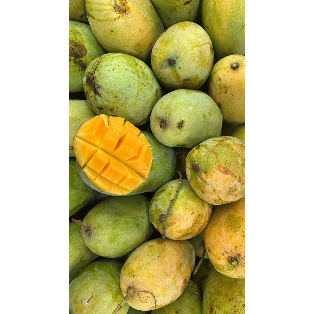 

Mangga Budi Raja 1kg