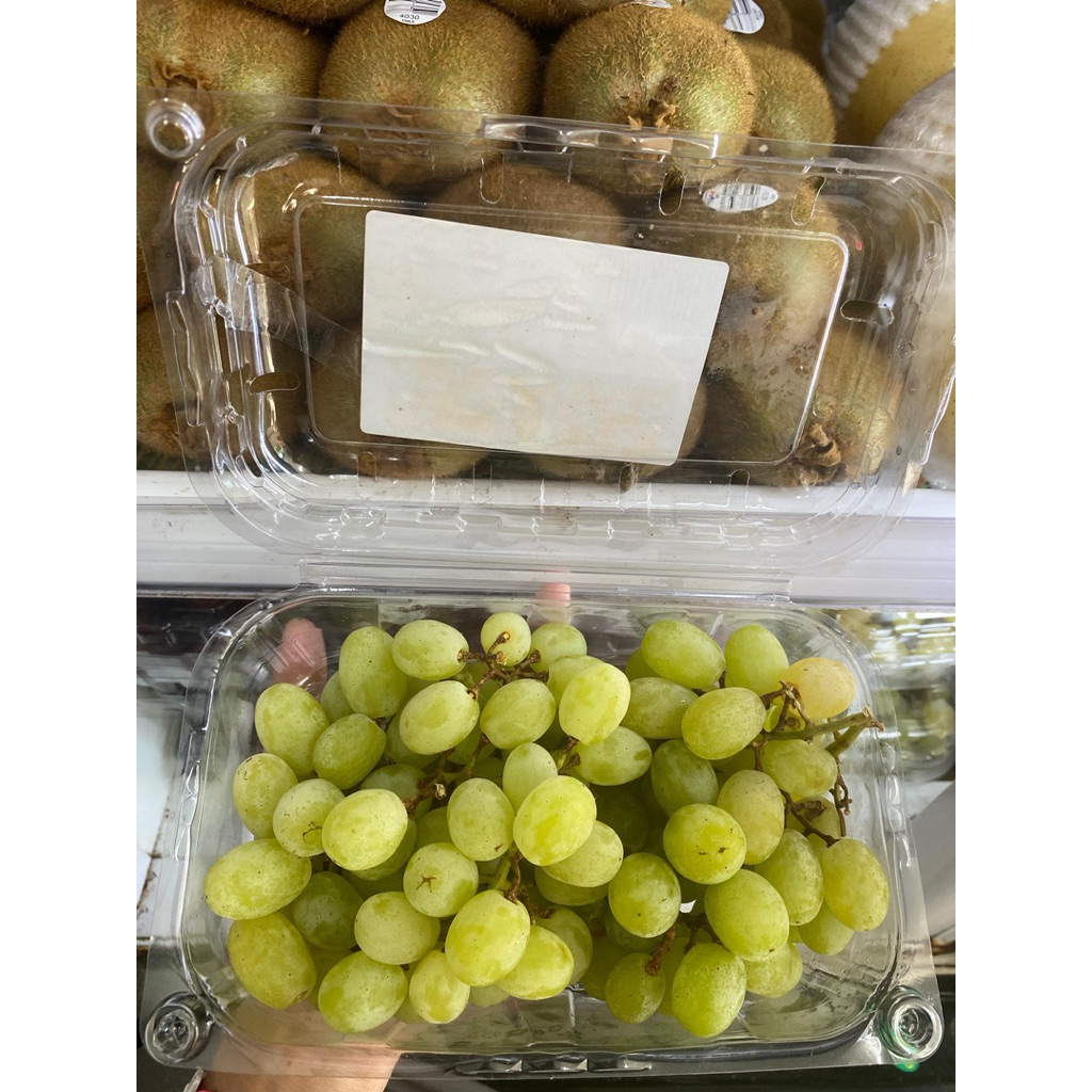 

Anggur hijau thomson perpack 500gr