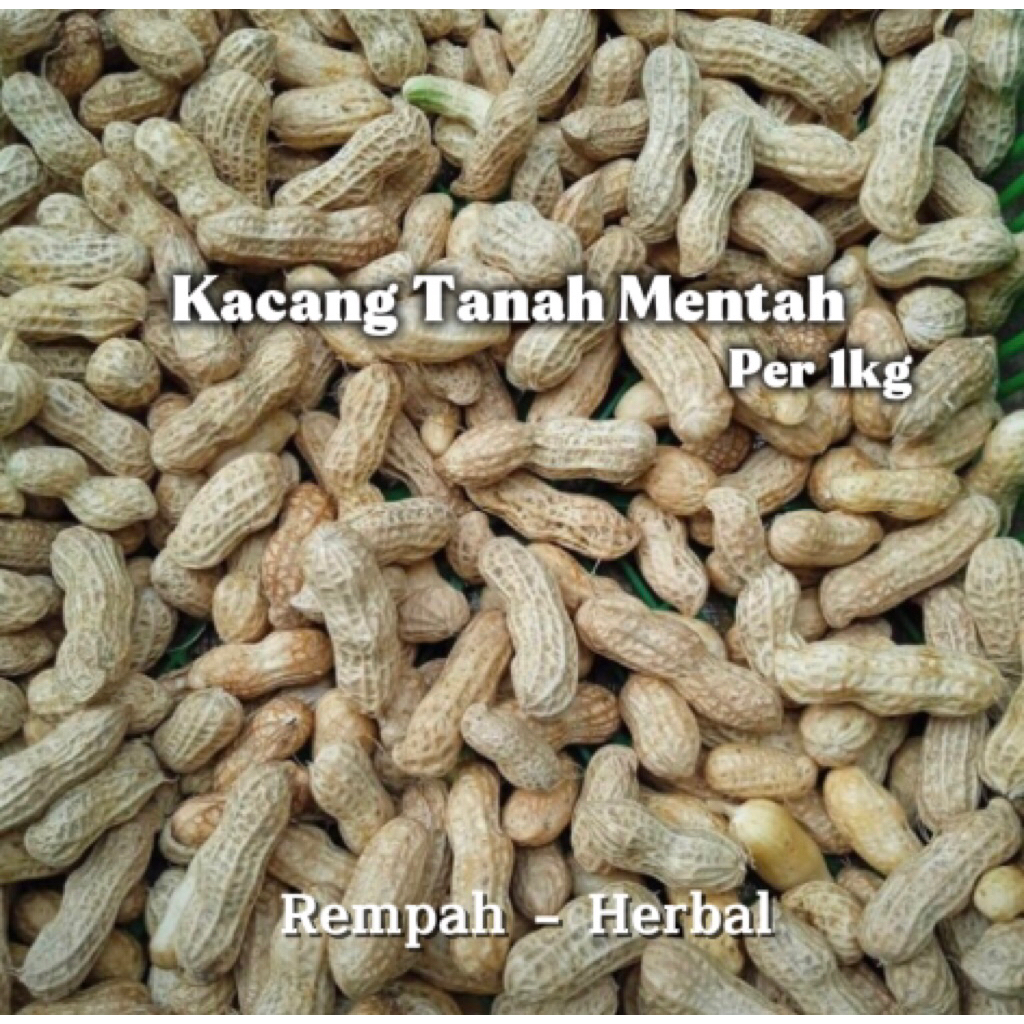 

Kacang Tanah Mentah 1kg