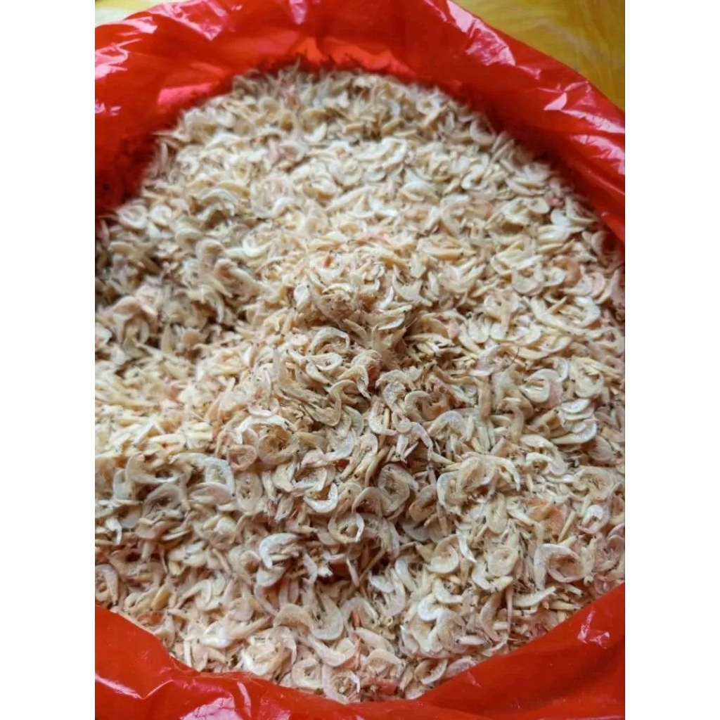 

rebon asin terlaris