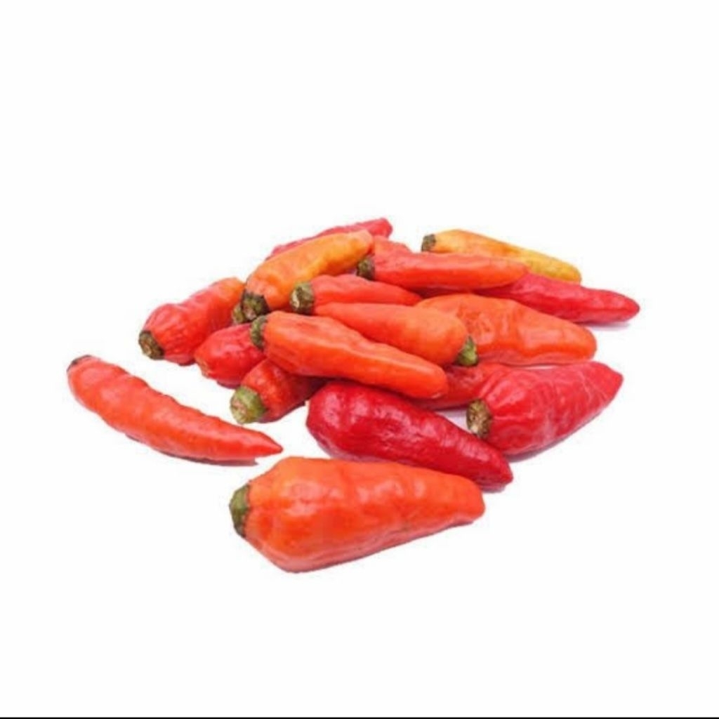 

Cabe Rawit Merah Petik Fresh Segar