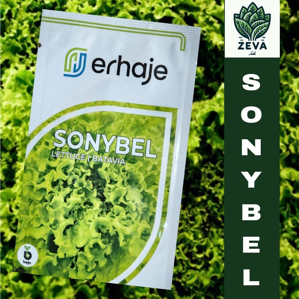 Benih Bibit Selada Batavia Sonybel 1gram - Bejo Seed