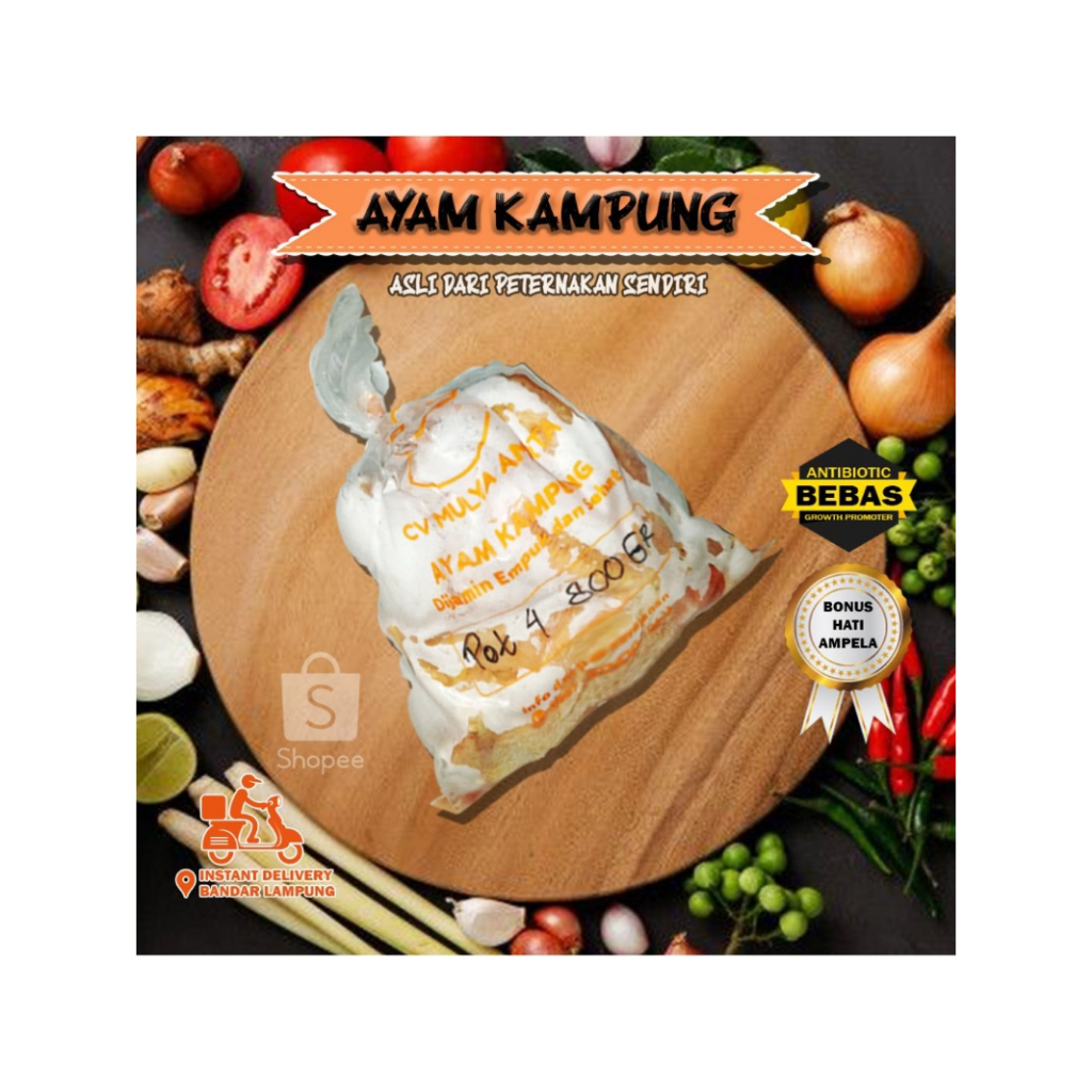 

ayam kampung frozen asli pasar lampung larven gratis hati dan ampela