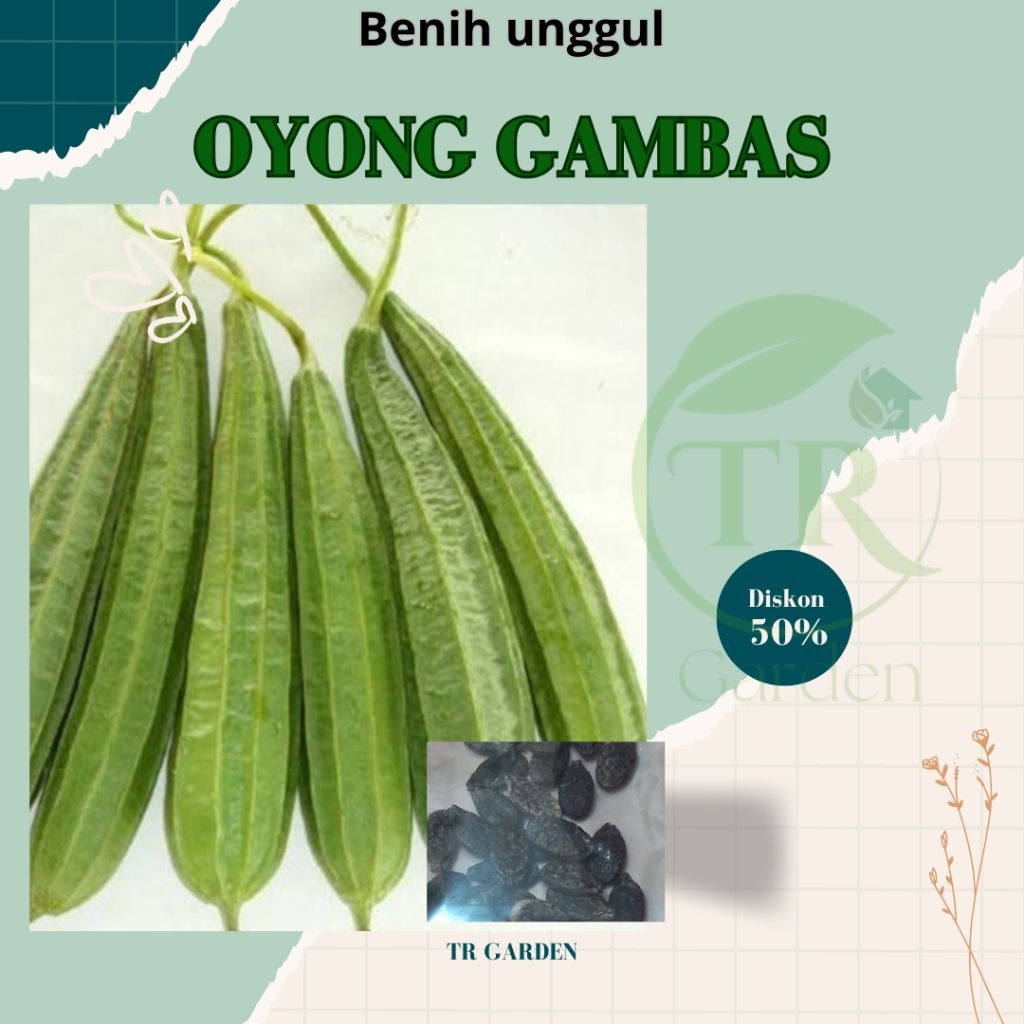 biji benih bibit OYONG GAMBAS UNGGUL f1 repack | EMES | MURAH
