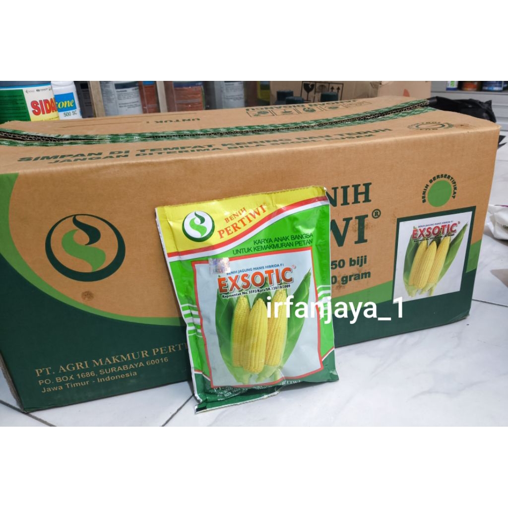 Benih jagung manis exotic pertiwi 250gr