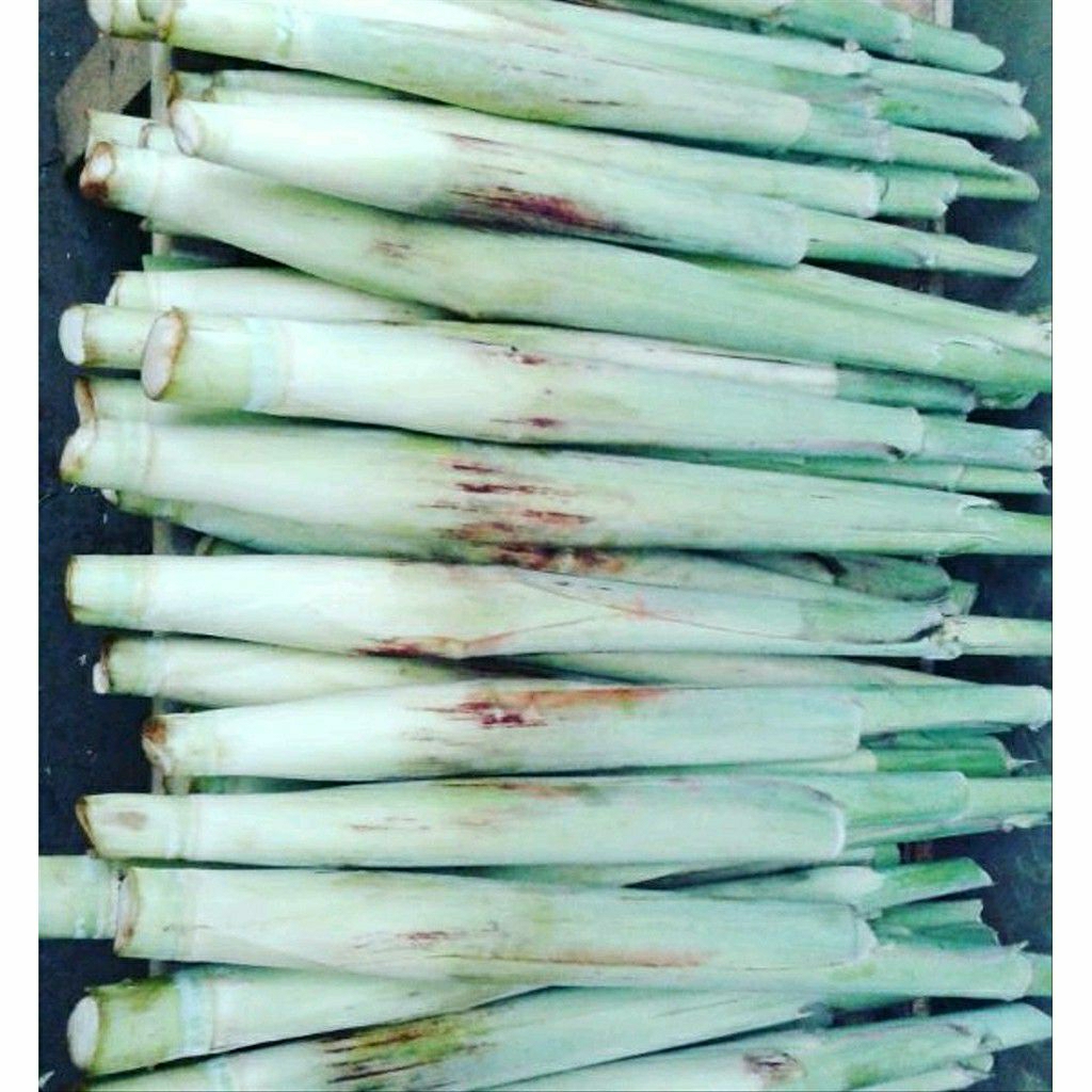 

trubuk trubuk trubuk telur tebu sayuran enak sayuran segar 1kg