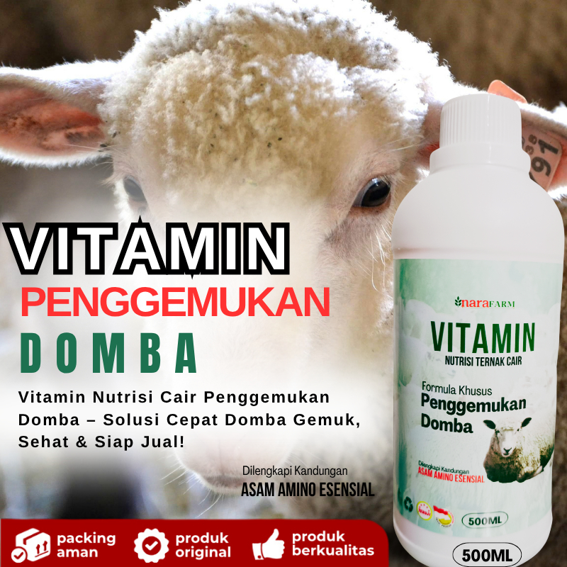 DimasStorr Obat Penggemuk domba ,Obat cacing domba plus vitamin,Obat penggemukan anak domba,Vitamin