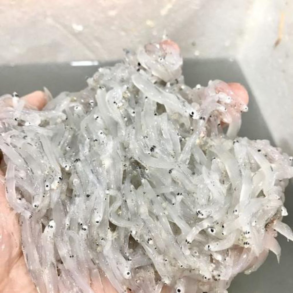 

[PS] Teri Nasi Basah 250gram