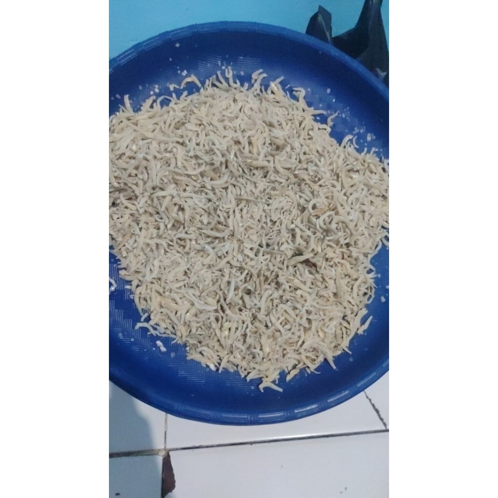 

ikan teri nasi medan