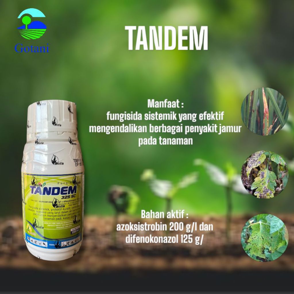 Fungisida TANDEM 250ML