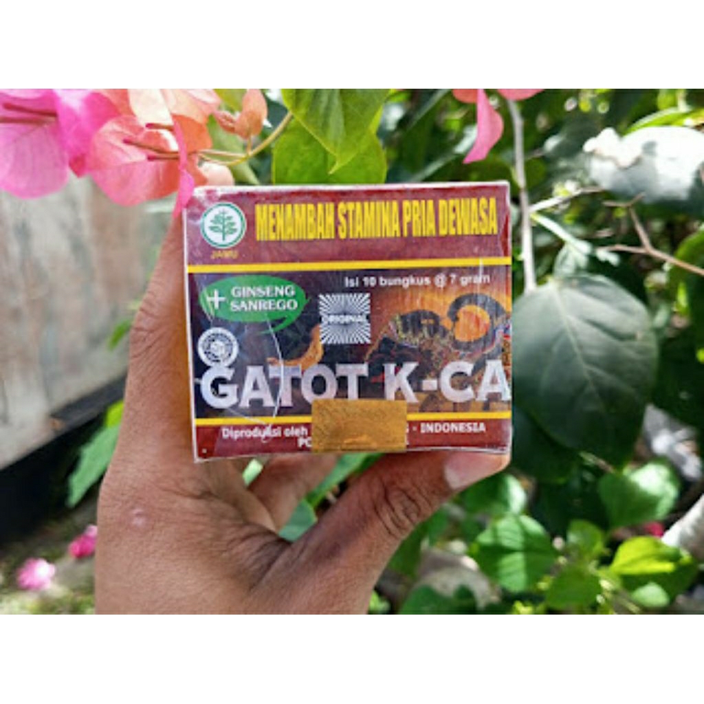 

Jamu Kuat Pria GATOT KACA