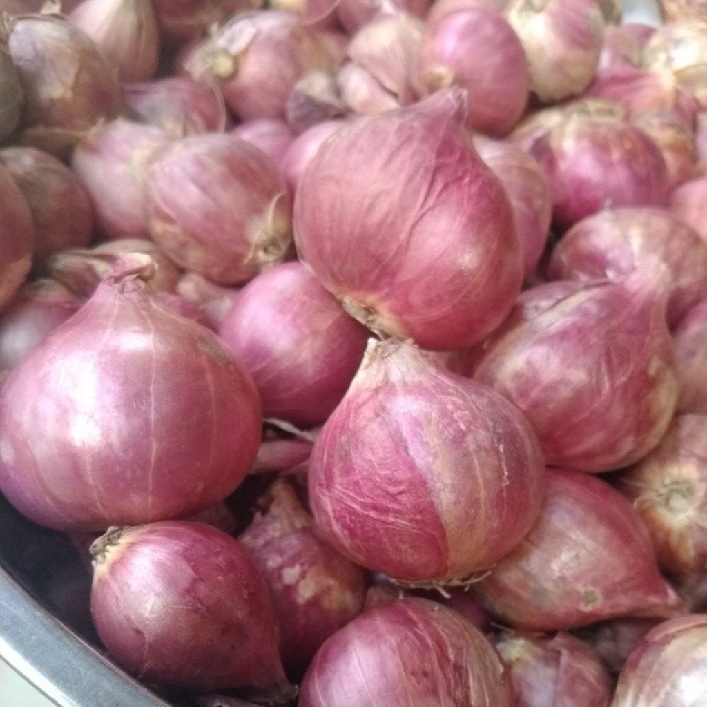 

bawang merah jumbo Probolinggo kemasan 250gram