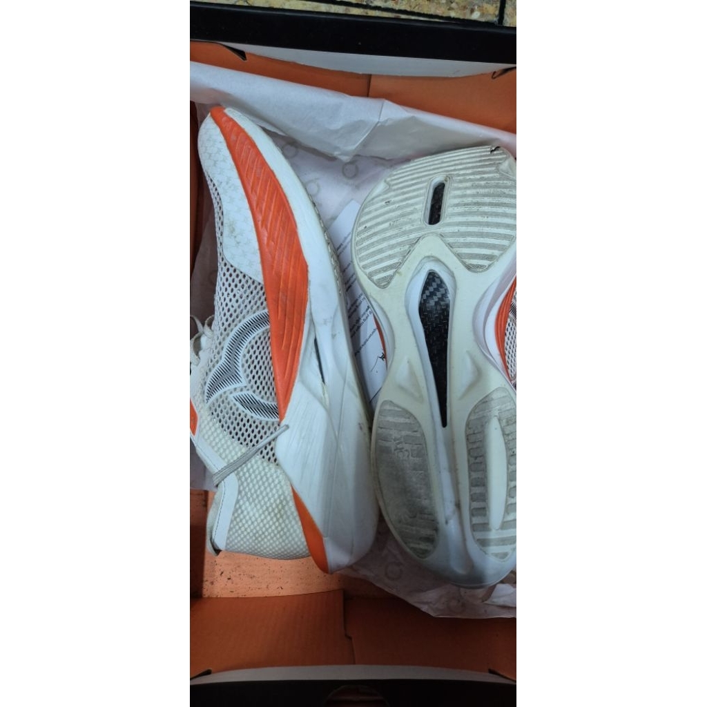 ortuseight solar Carbon plate