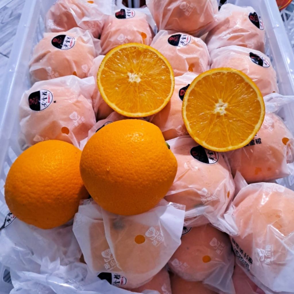 

Jeruk Sunkist Navel
